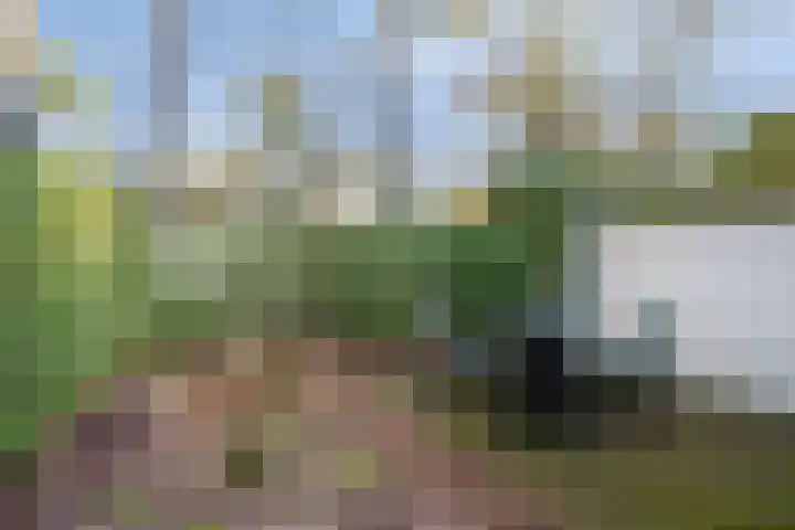 Potdijk 8 D2 Markelo thumbnail 30
