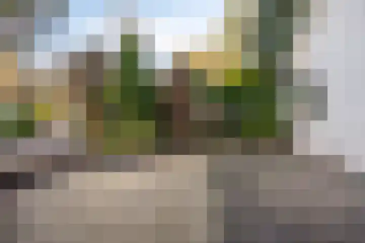 Potdijk 8 D2 Markelo thumbnail 32
