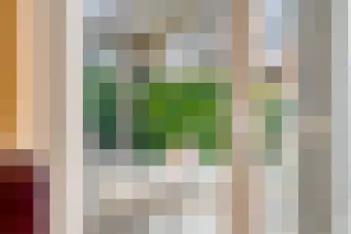 Potdijk 8 D2 Markelo thumbnail 8