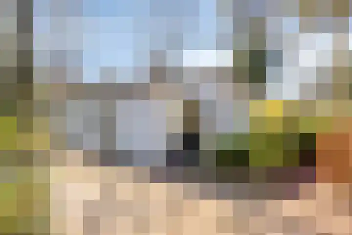 Potdijk 8 D24 Markelo thumbnail 28
