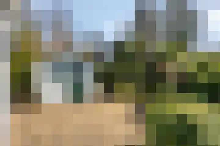 Potdijk 8 D24 Markelo thumbnail 30