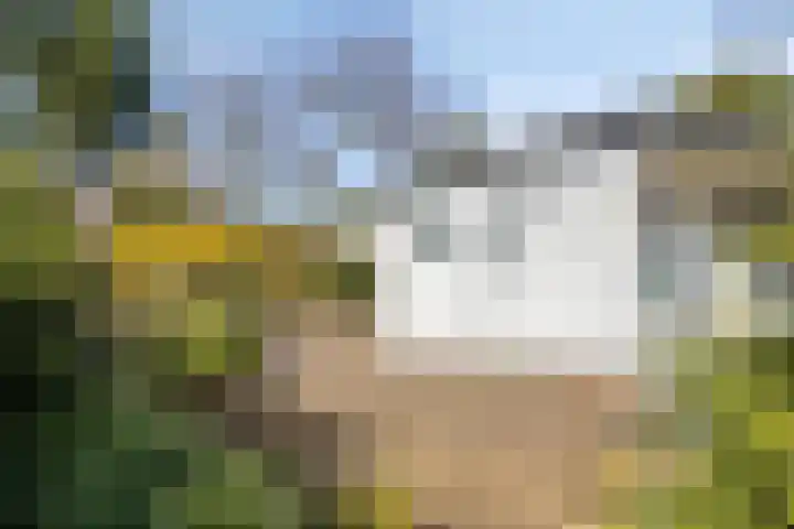 Potdijk 8 D24 Markelo thumbnail 31