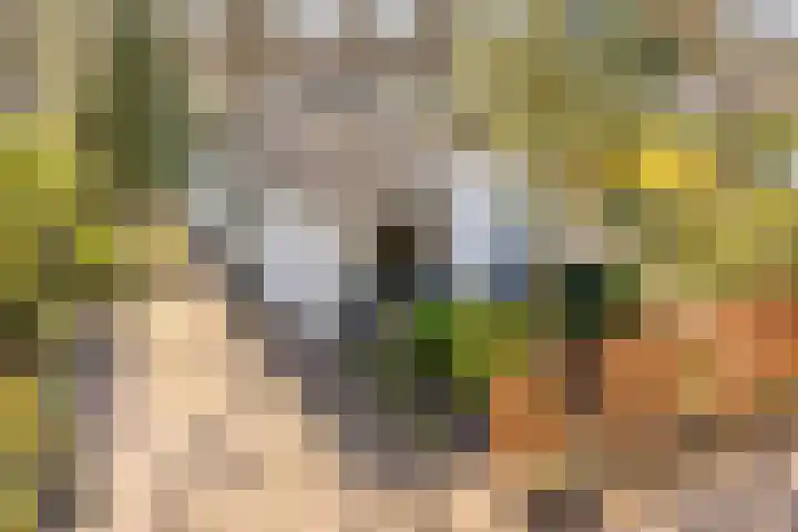 Potdijk 8 D24 Markelo thumbnail 33