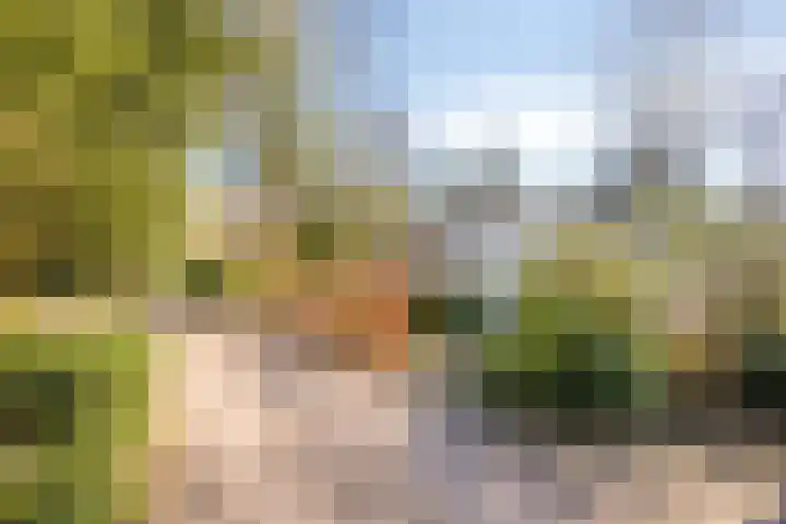 Potdijk 8 D24 Markelo thumbnail 35
