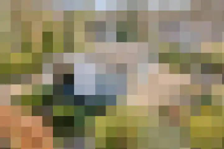 Potdijk 8 D24 Markelo thumbnail 5