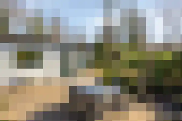 Potdijk 8 D24 Markelo thumbnail 7