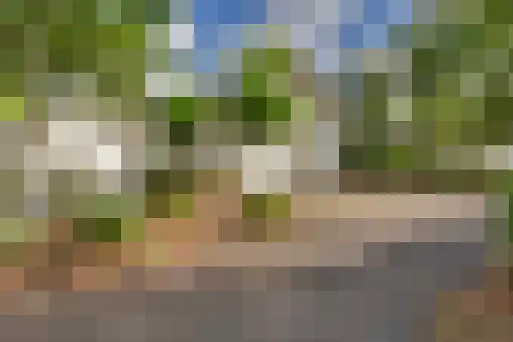 Potdijk 8 D51 Markelo thumbnail 10