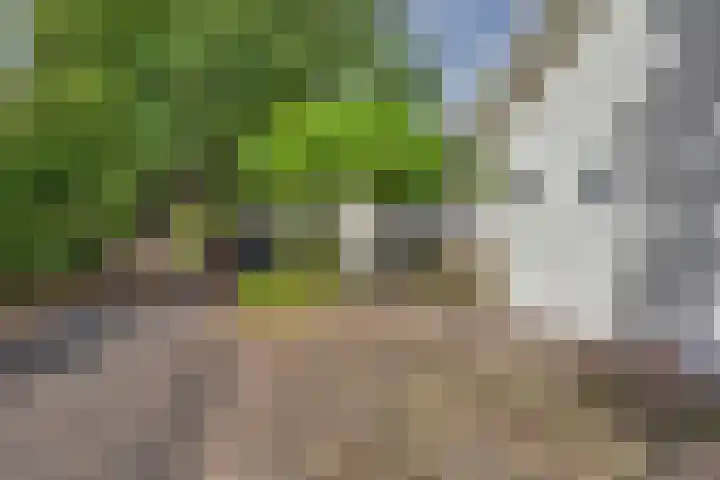 Potdijk 8 D51 Markelo thumbnail 12