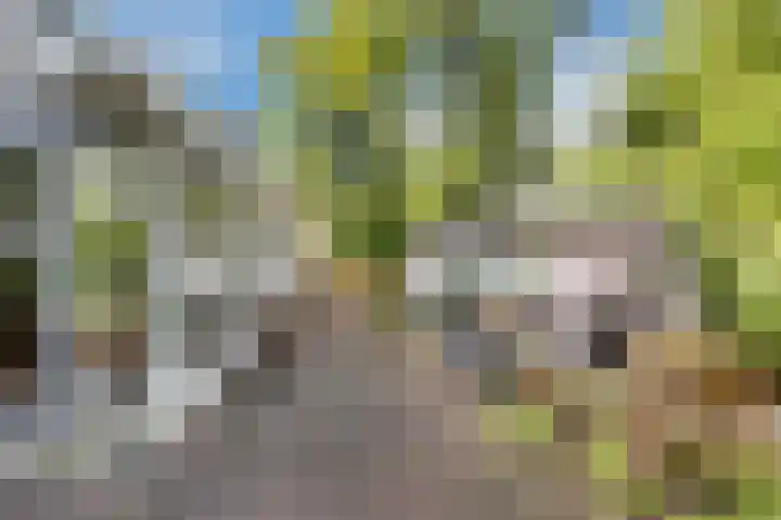 Potdijk 8 D51 Markelo thumbnail 14