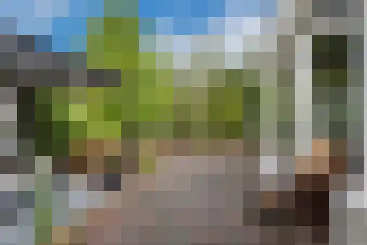 Potdijk 8 D51 Markelo thumbnail 17