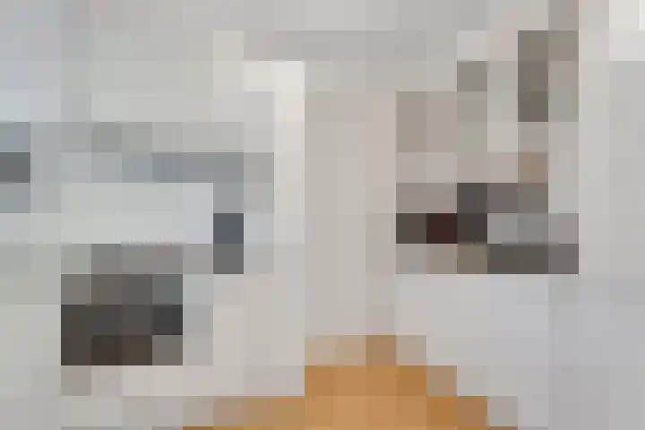 Potdijk 8 D51 Markelo thumbnail 25