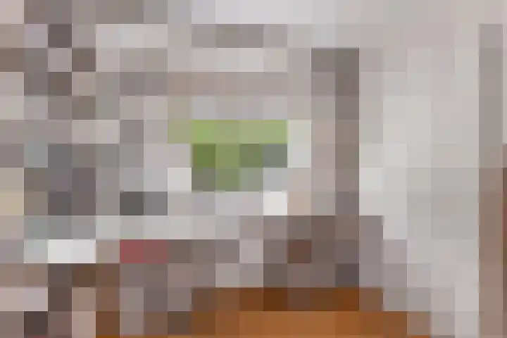 Potdijk 8 D51 Markelo thumbnail 28