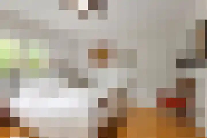 Potdijk 8 D51 Markelo thumbnail 34