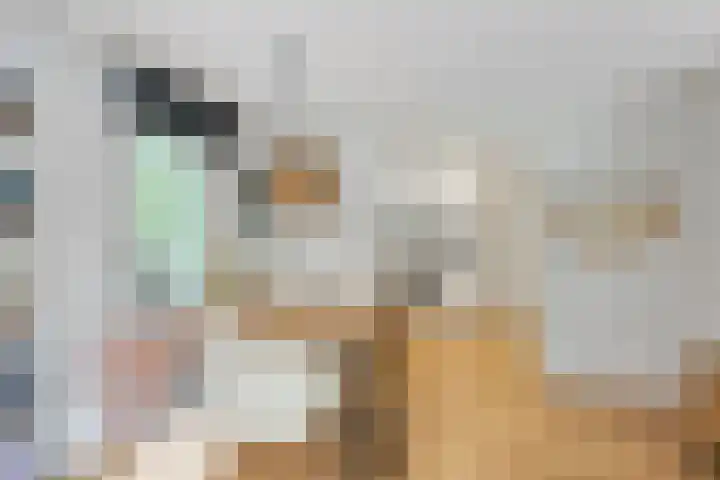 Potdijk 8 D51 Markelo thumbnail 48