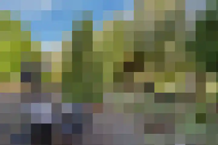 Potdijk 8 D51 Markelo thumbnail 5