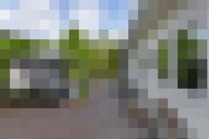 Potdijk 8 D51 Markelo thumbnail 51