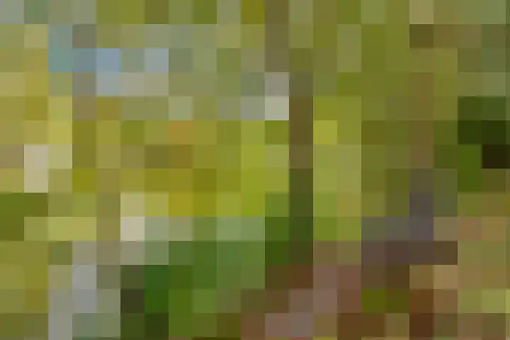 Potdijk 8 D51 Markelo thumbnail 58