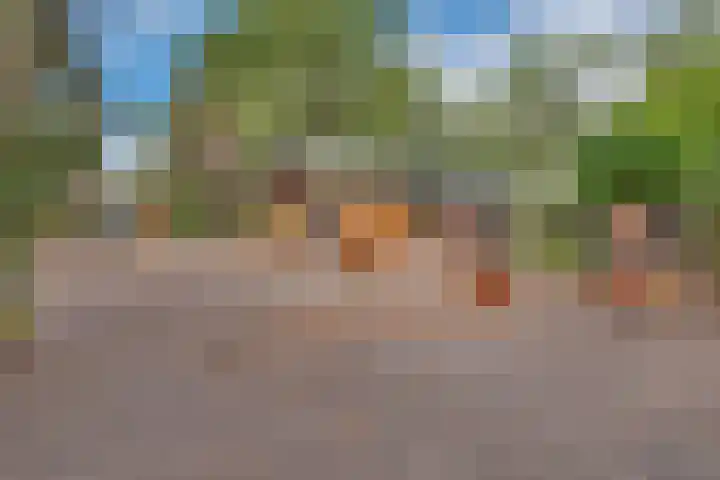 Potdijk 8 D51 Markelo thumbnail 6