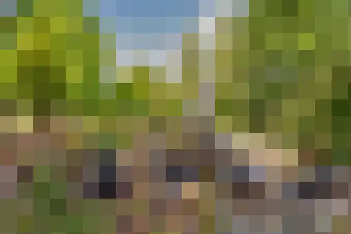 Potdijk 8 D51 Markelo thumbnail 60