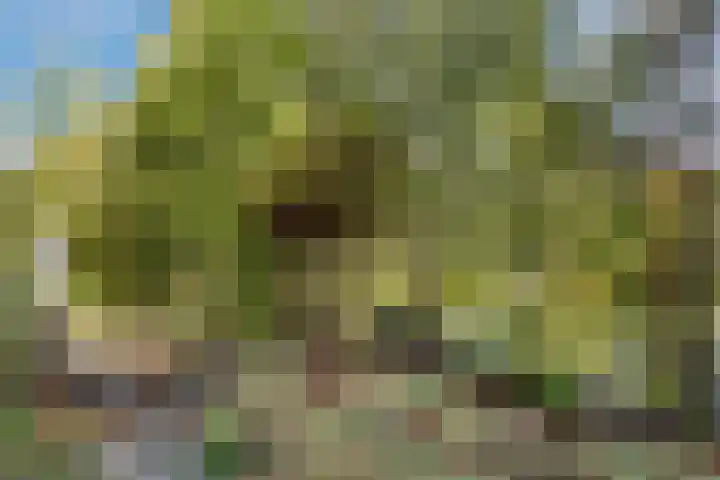 Potdijk 8 D51 Markelo thumbnail 61