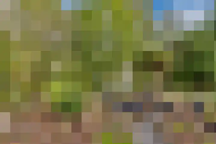 Potdijk 8 D51 Markelo thumbnail 63