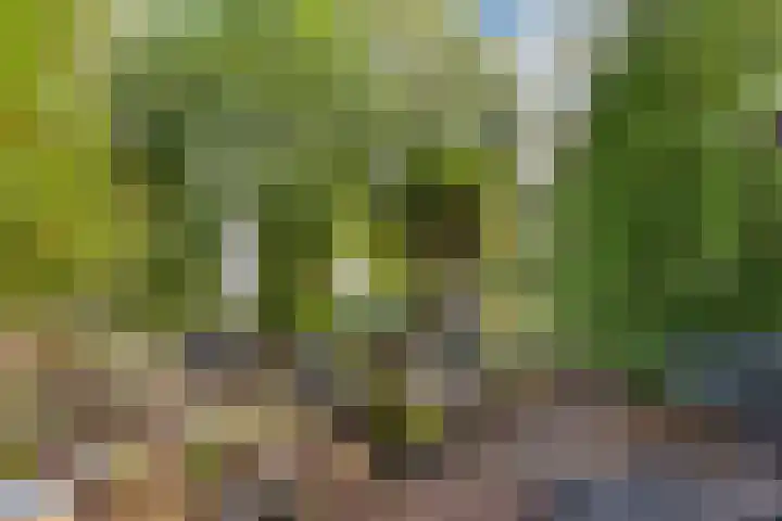 Potdijk 8 D51 Markelo thumbnail 64