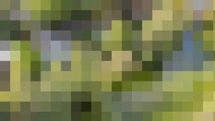 Potdijk 8 D51 Markelo thumbnail 65
