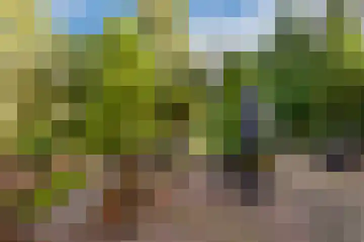 Potdijk 8 D51 Markelo thumbnail 66