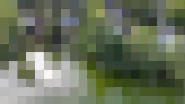 Potdijk 8 D51 Markelo thumbnail 67