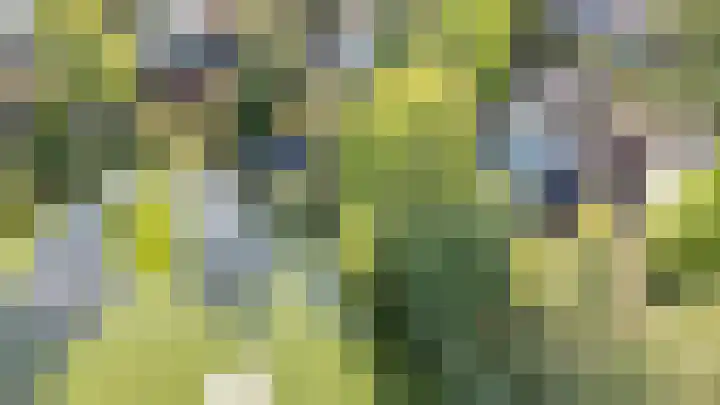 Potdijk 8 D51 Markelo thumbnail 68