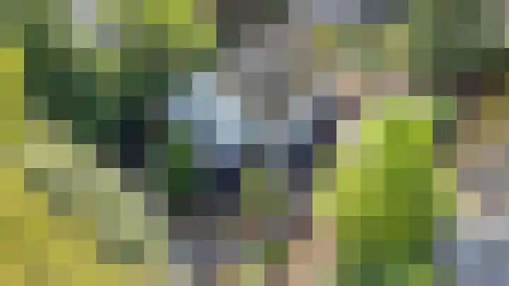 Potdijk 8 D51 Markelo thumbnail 8