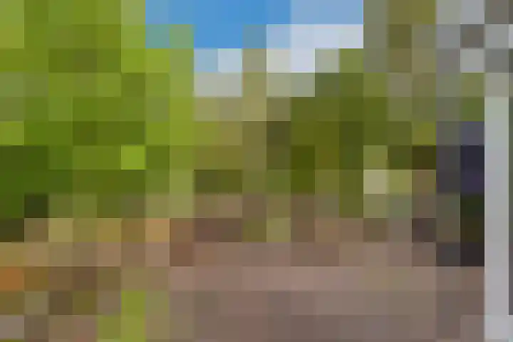 Potdijk 8 D51 Markelo thumbnail 9