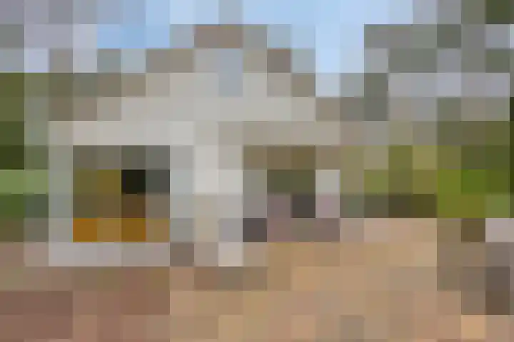 Potdijk 8 E1 Markelo