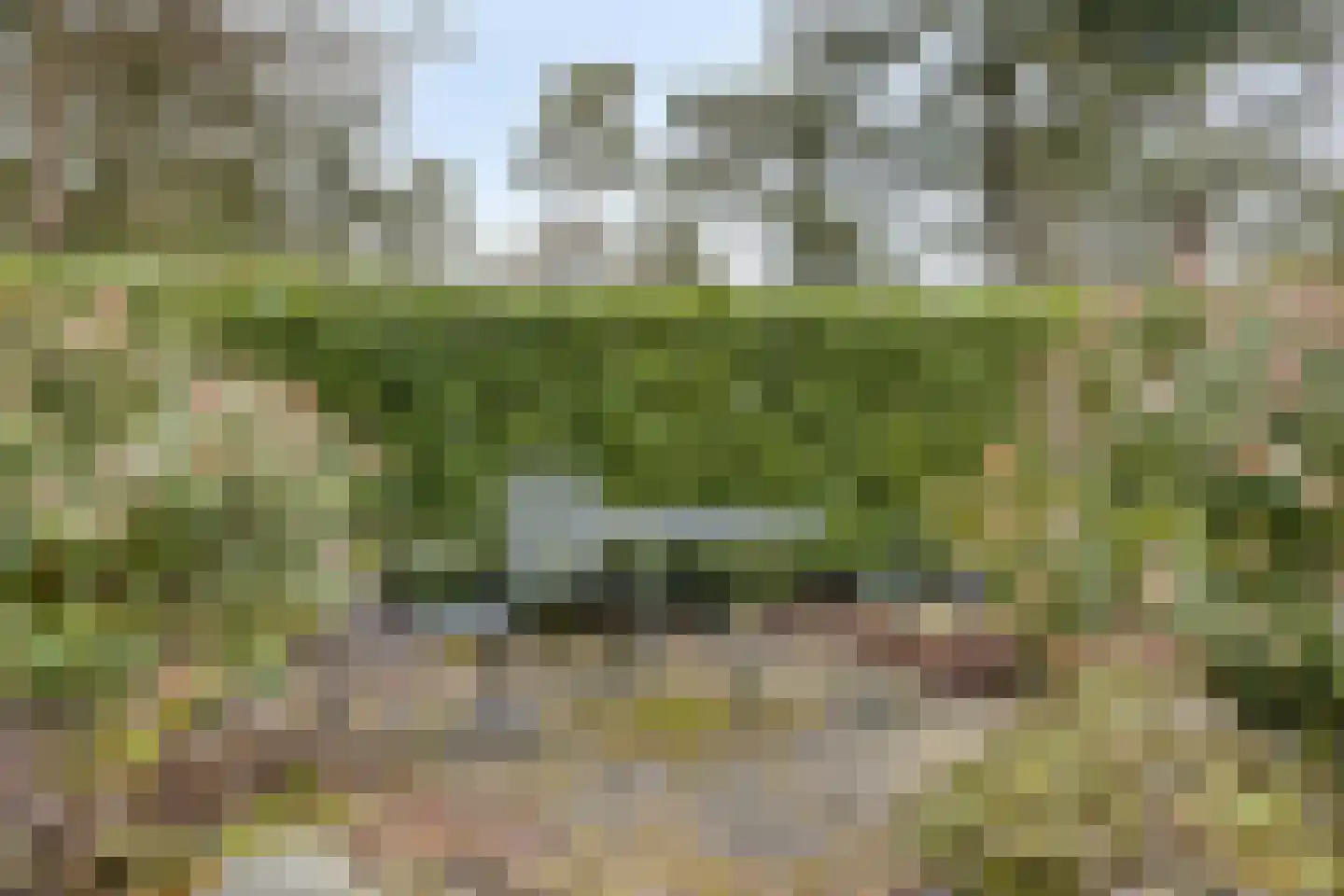 Potdijk 8 E26 Markelo thumbnail 23