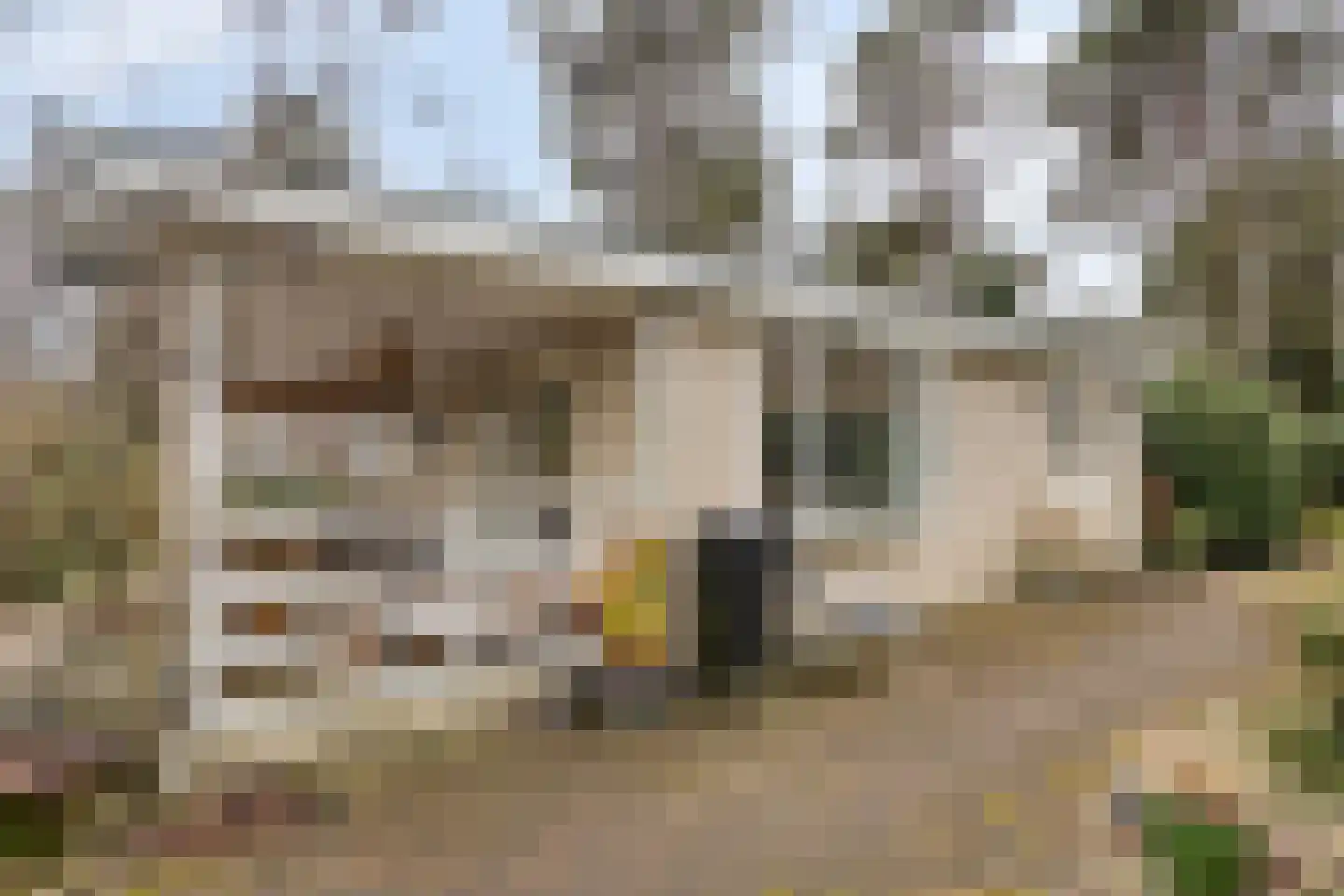 Potdijk 8 E26 Markelo thumbnail 4