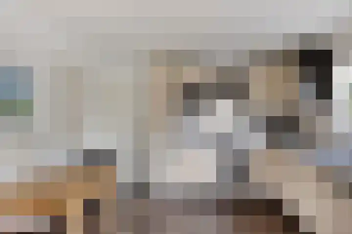 Potdijk 8 E31 Markelo thumbnail 12