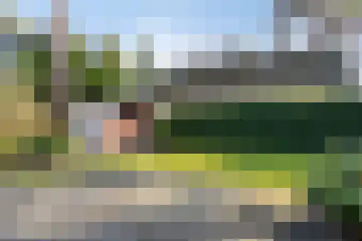 Potdijk 8 E31 Markelo thumbnail 18