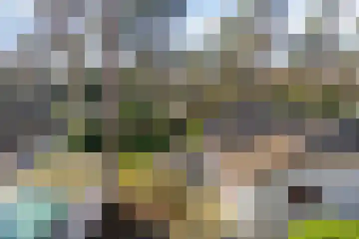 Potdijk 8 E31 Markelo thumbnail 19