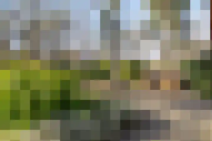 Potdijk 8 E31 Markelo thumbnail 20