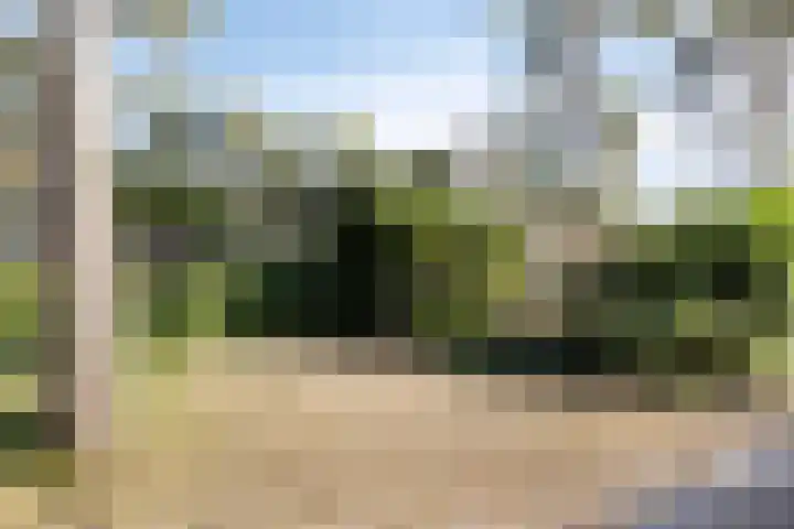 Potdijk 8 E31 Markelo thumbnail 22