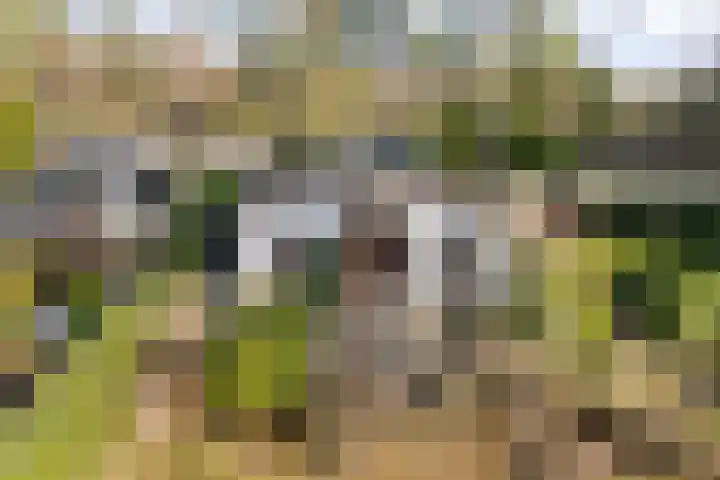 Potdijk 8 E31 Markelo thumbnail 24