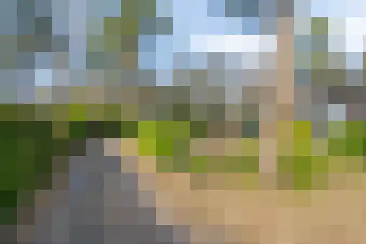 Potdijk 8 E31 Markelo thumbnail 25