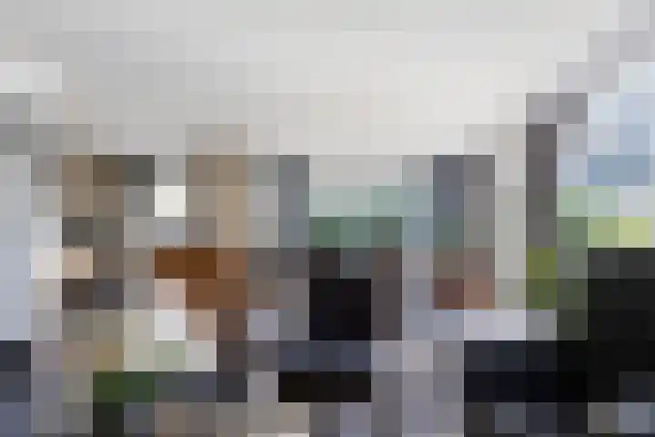 Potdijk 8 E31 Markelo thumbnail 8