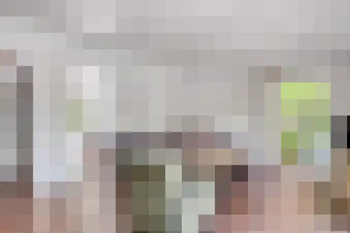 Potdijk 8 G37 Markelo thumbnail 10