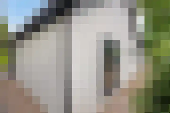 Potdijk 8 G37 Markelo thumbnail 30