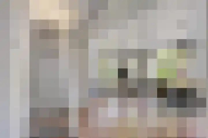 Potdijk 8 G37 Markelo thumbnail 4