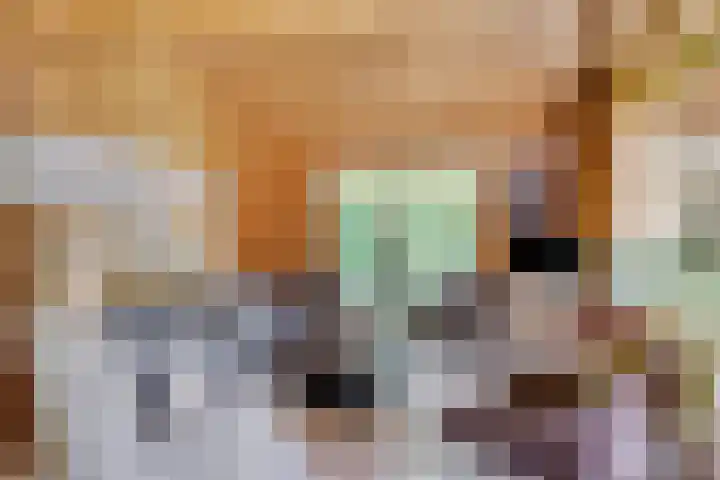 Potdijk 8 H32 Markelo thumbnail 15