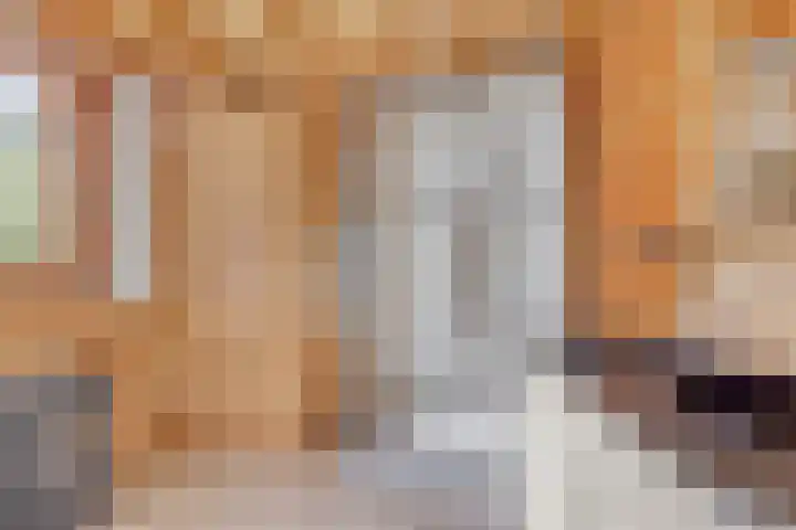 Potdijk 8 H32 Markelo thumbnail 20