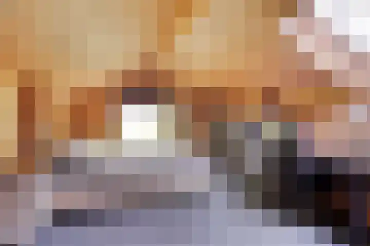 Potdijk 8 H32 Markelo thumbnail 24