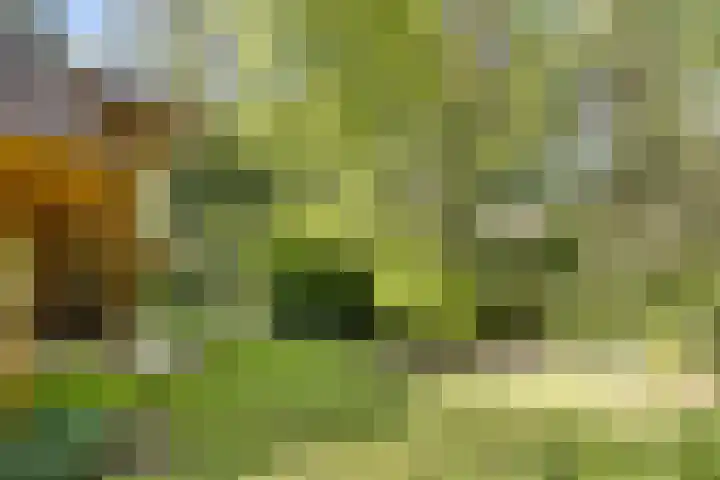 Potdijk 8 H32 Markelo thumbnail 28